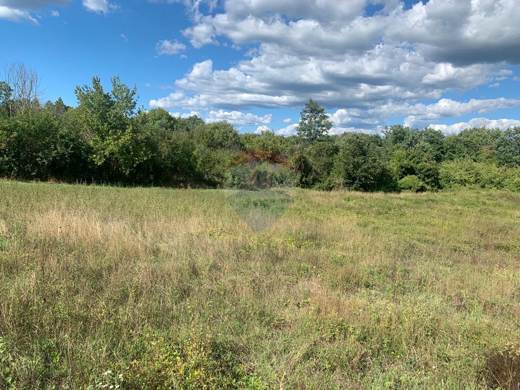 Building plot Barban, 612m2, building plot, square size 612m2