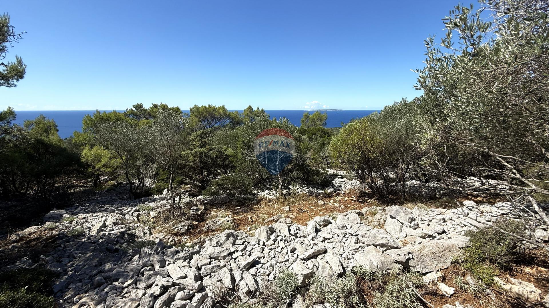 Veli Lošinj, Poljoprivredno zemljište sa maslinikom