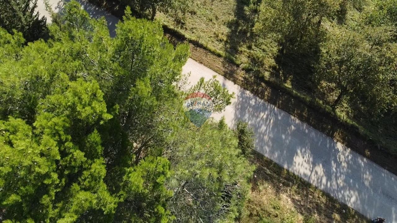 Poreč, lijepa poljoprivredna parcela sa otvorenim pogledom