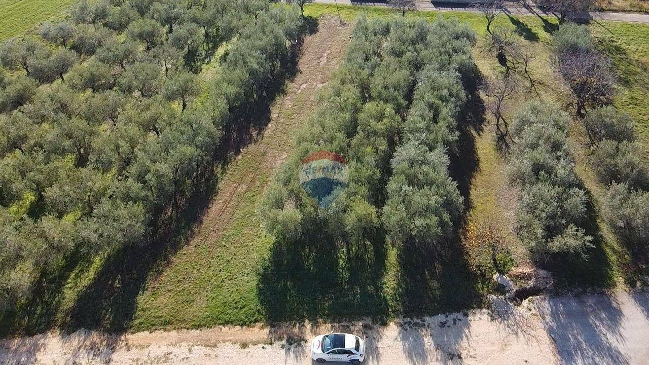 Istra, Poreč - okolica, građevinsko zemljište za izgradnju kuće