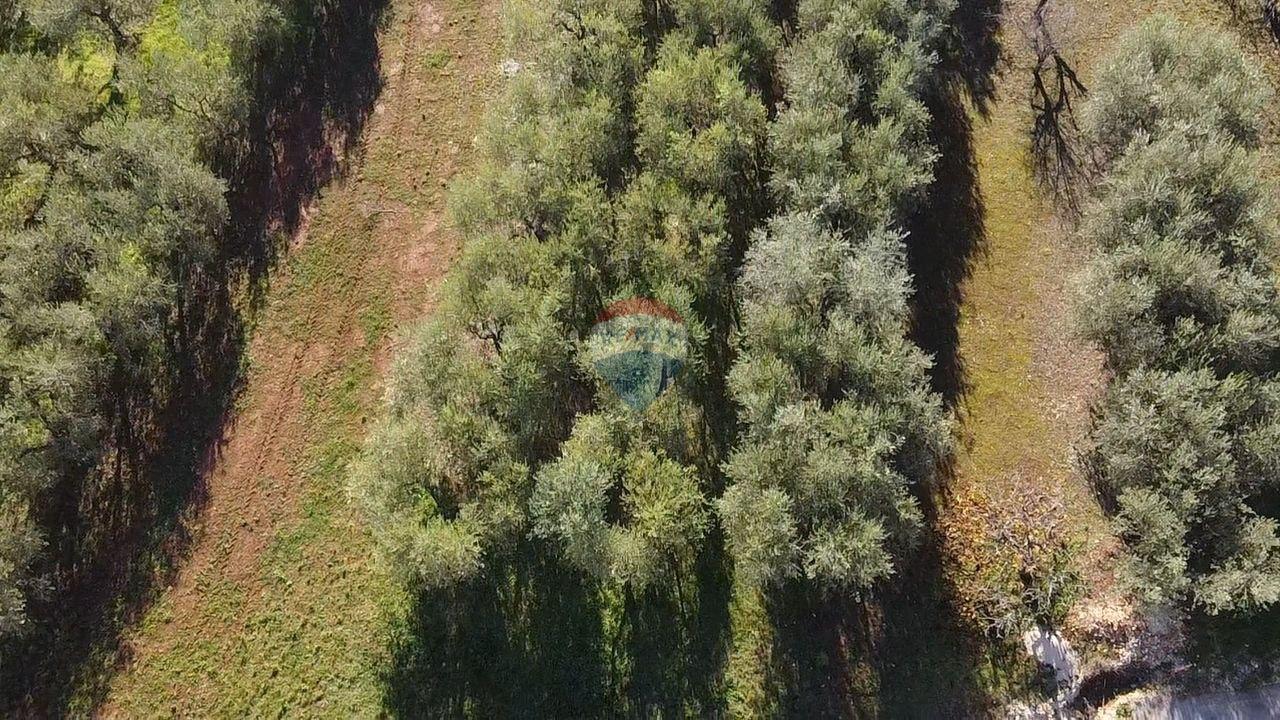 Istra, Poreč - okolica, građevinsko zemljište za izgradnju kuće