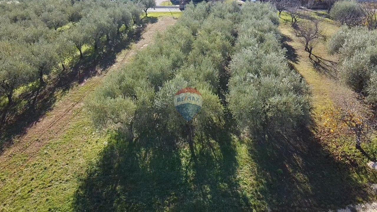 Istra, Poreč - okolica, građevinsko zemljište za izgradnju kuće