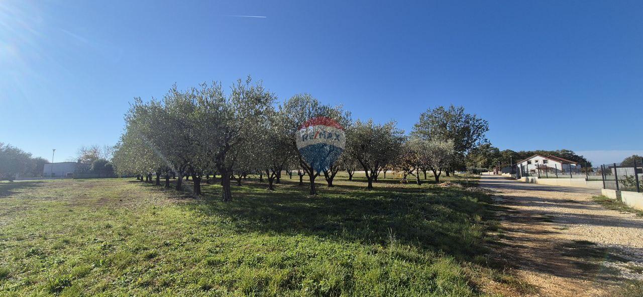 Istra, Poreč - okolica, građevinsko zemljište za izgradnju kuće