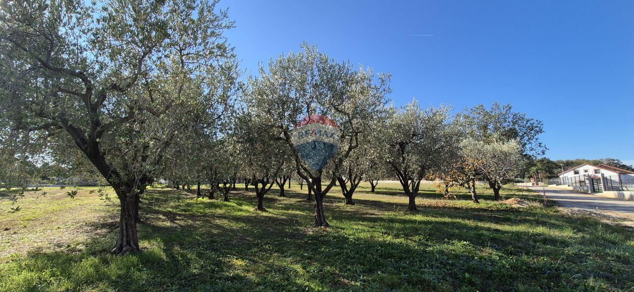 Istra, Poreč - okolica, građevinsko zemljište za izgradnju kuće