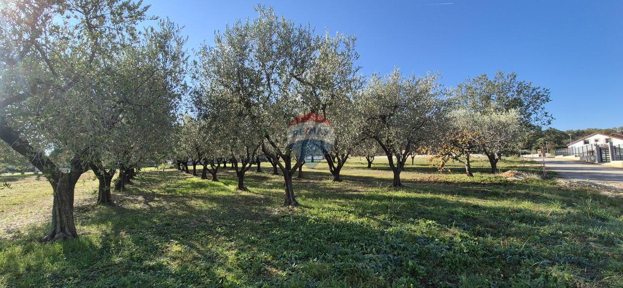 Istra, Poreč - okolica, građevinsko zemljište za izgradnju kuće