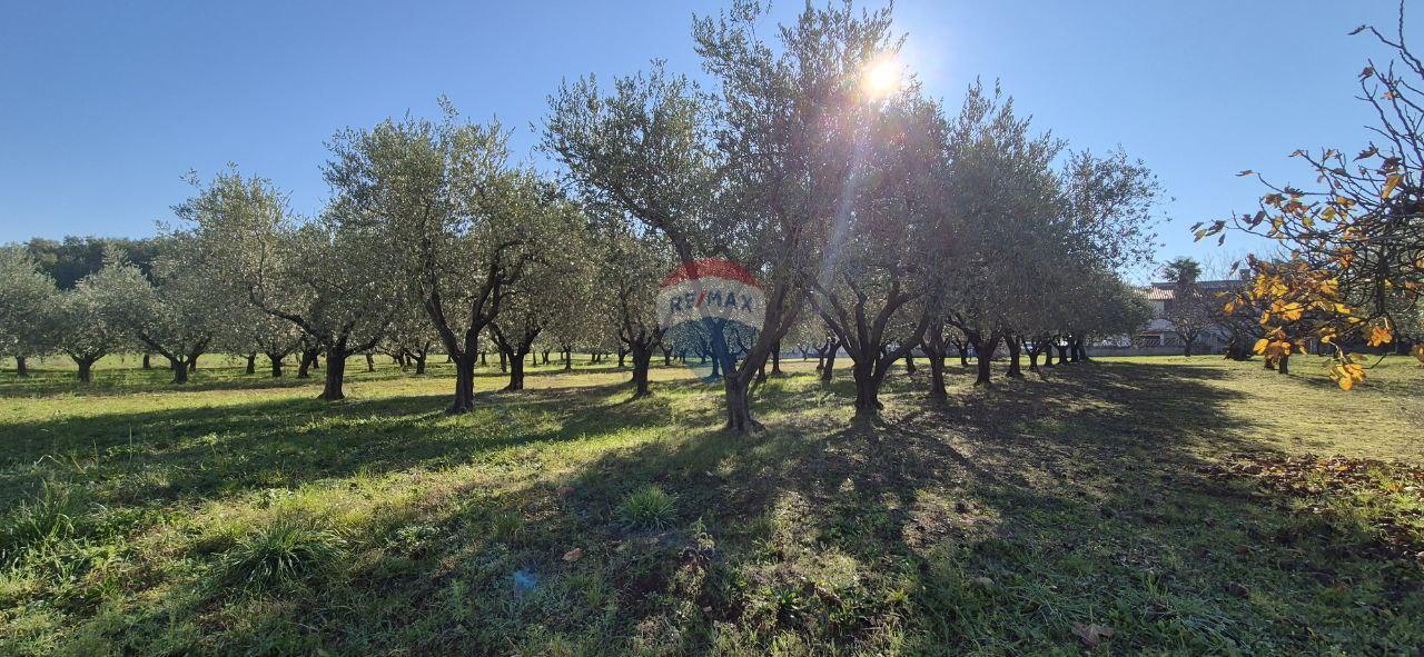 Istra, Poreč - okolica, građevinsko zemljište za izgradnju kuće