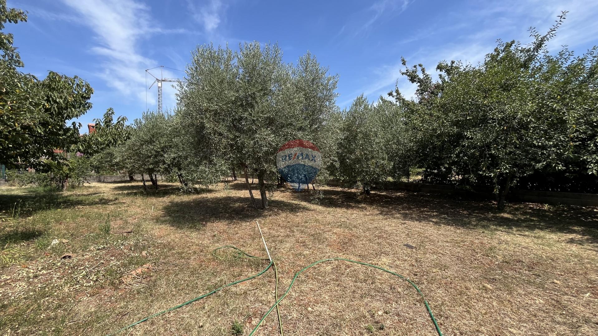 Istra , Višnjan - građevinsko zemljište za gradnju obiteljske kuće