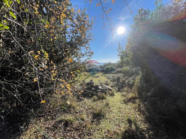 Krk-Dunat,negrađevinsko zemljište,50 m od mora!