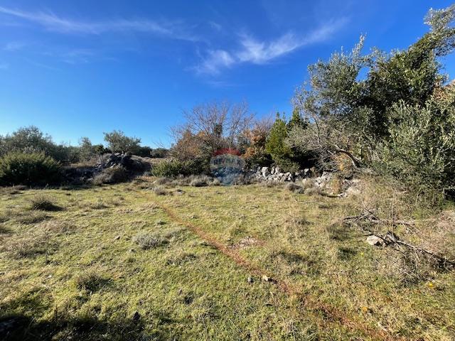 Krk-Dunat,negrađevinsko zemljište,50 m od mora!