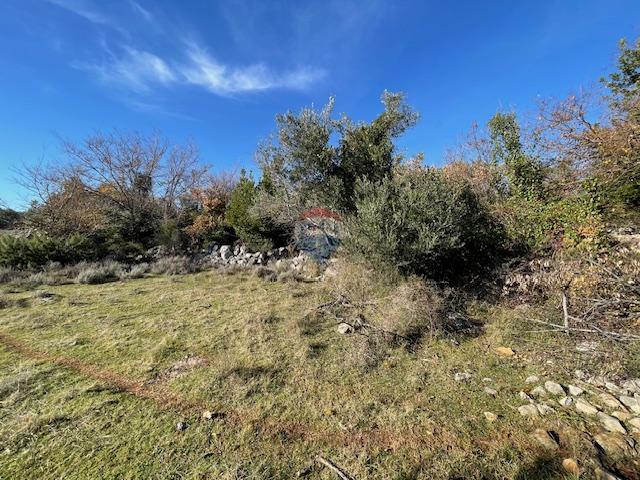 Krk-Dunat,negrađevinsko zemljište,50 m od mora!