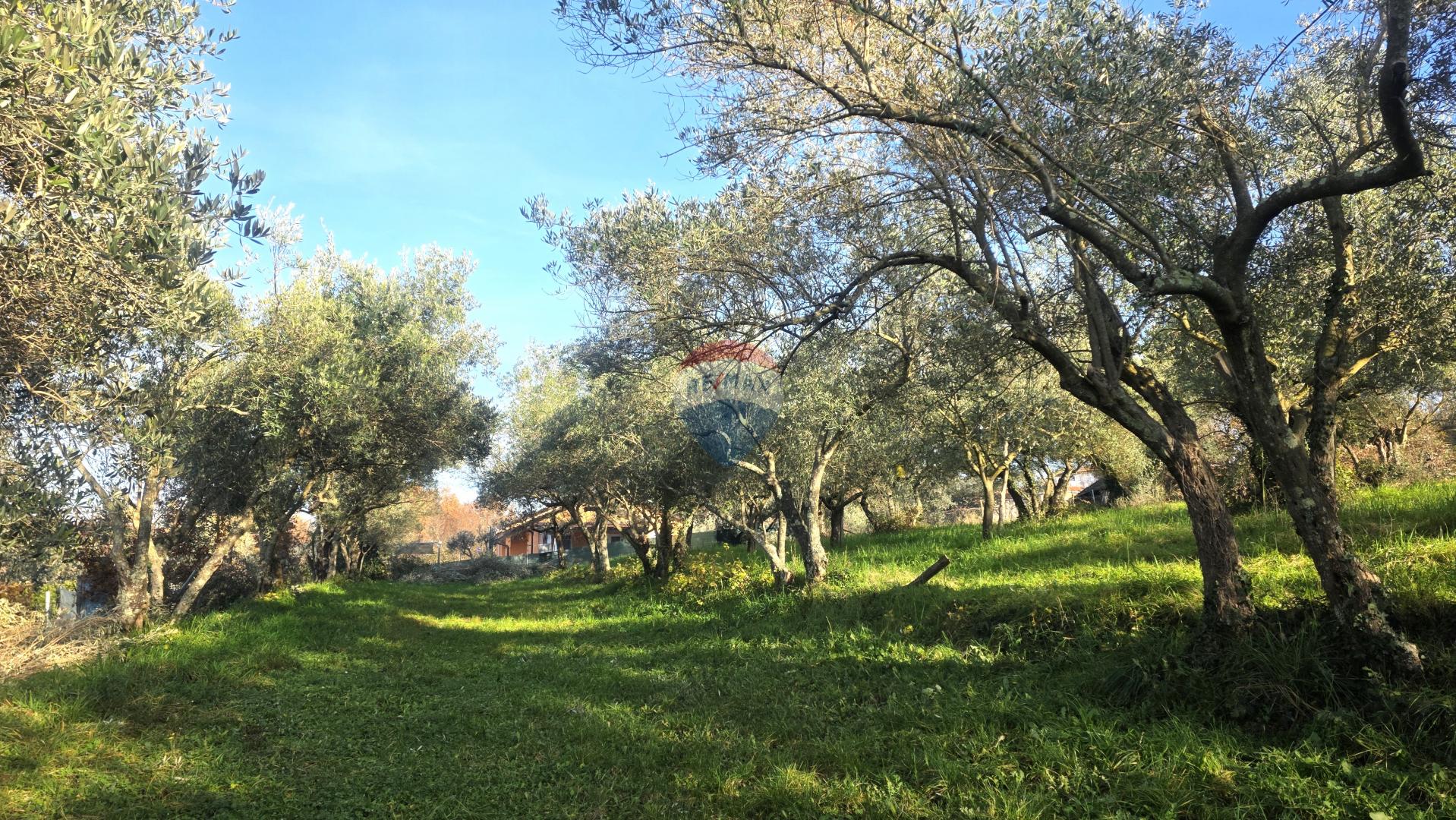 Istra,Lovrečica,okolica-Građevinsko zemljište na rubnom dijelu