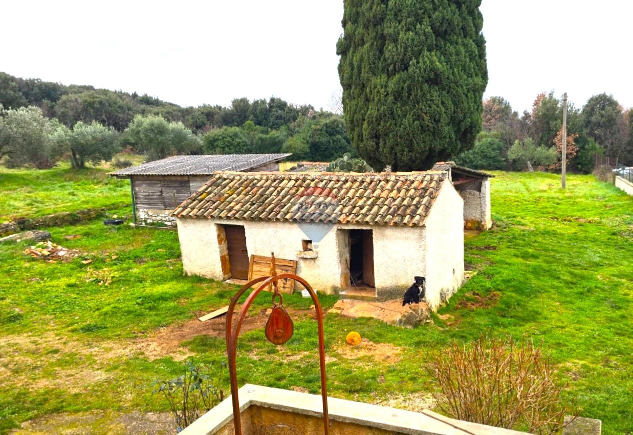 Rovinj, kuća + 2 pomoćna objekta na 4800 m2 okućnice