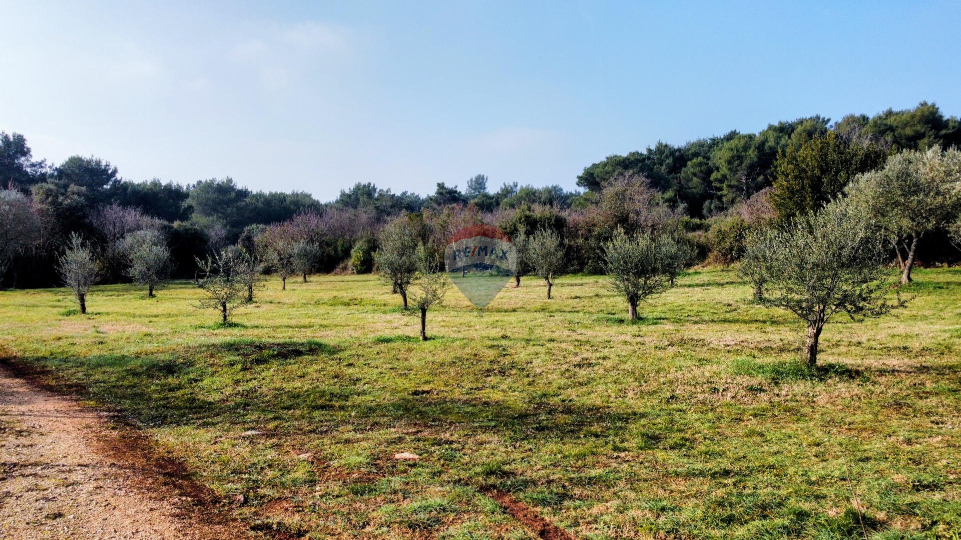   Nicht-strukturelle Land Rovinj, 1.865m2 