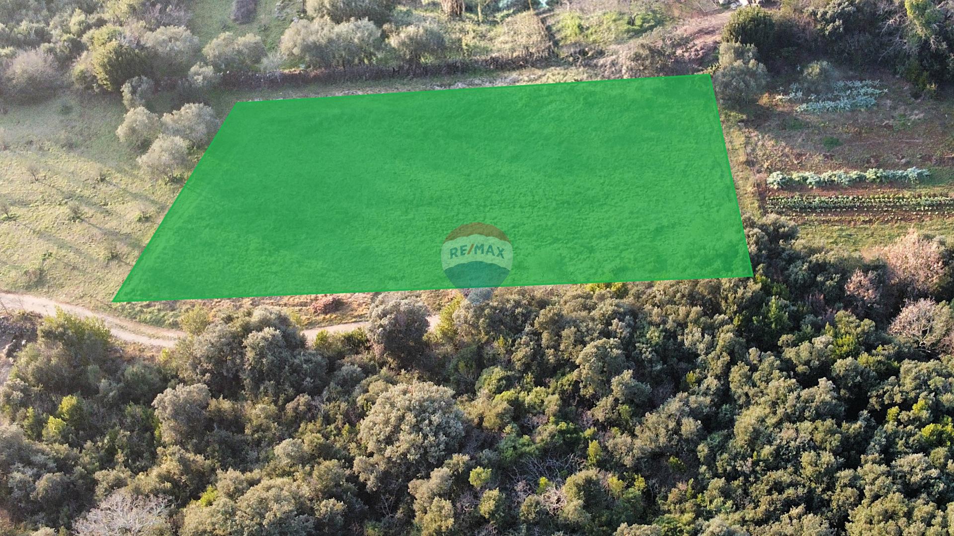 Rovinj, pa&scaron;njak - 200 m od mora