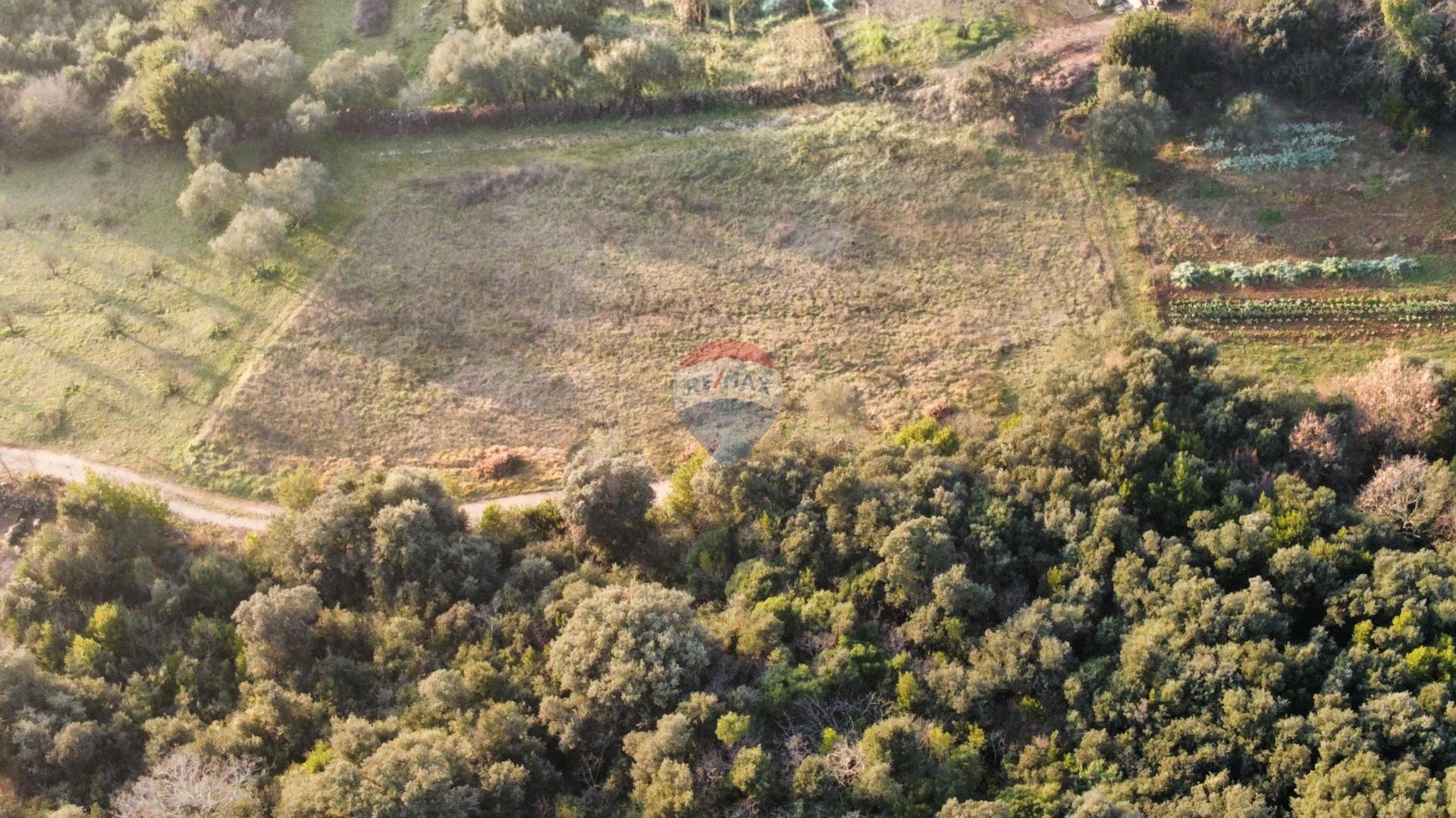 Rovinj, pa&scaron;njak - 200 m od mora