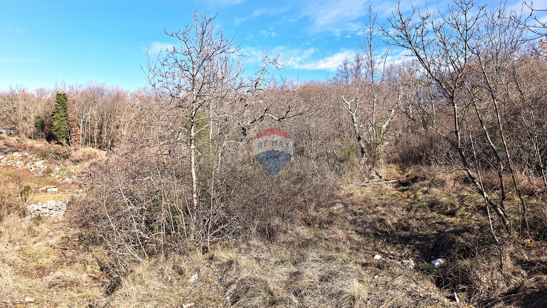 Istra, Momjan, &Scaron;trika-&scaron;uma