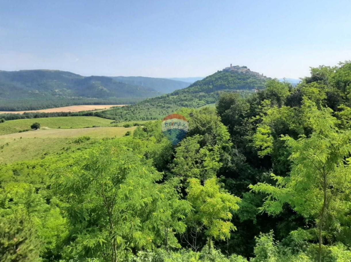 Bauland Motovun, 697m2