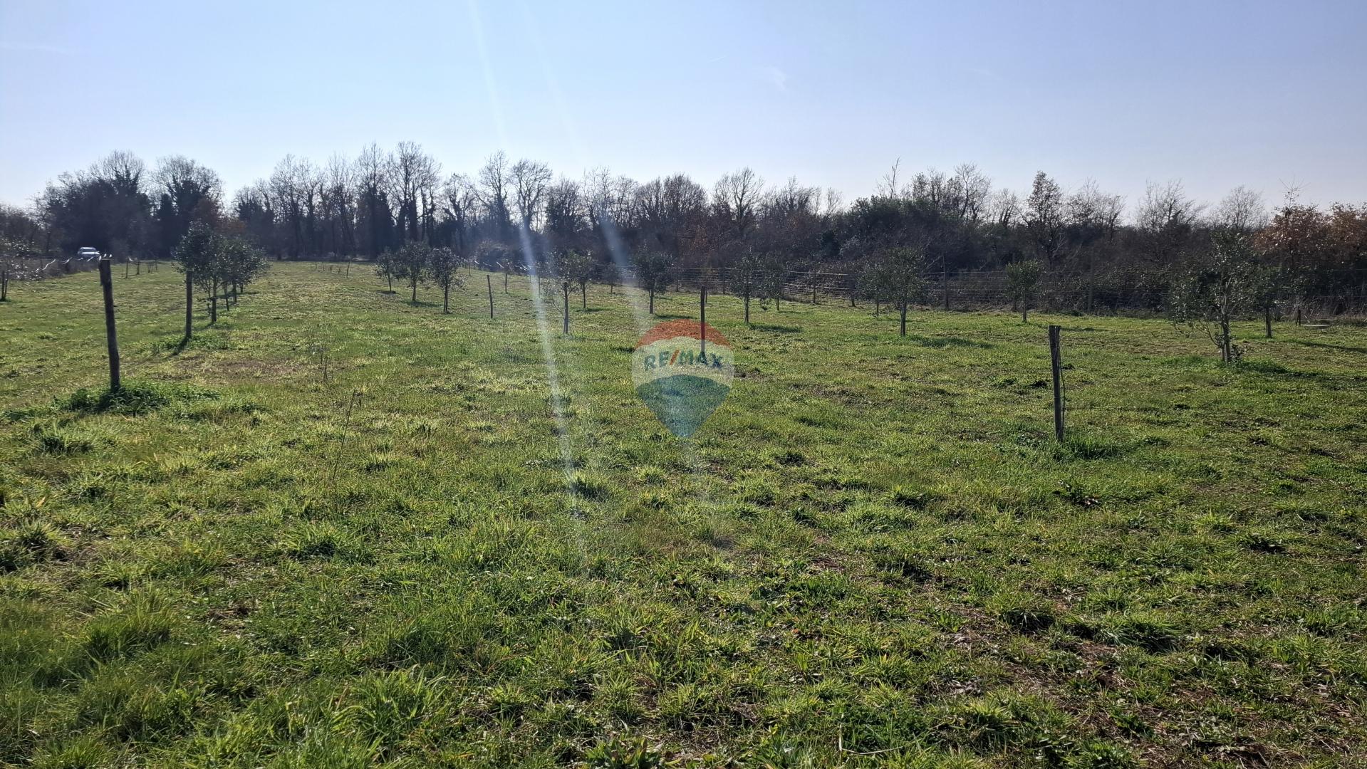 Istrien, Kršin, Landwirtschaftliches Grundstück 5.217 m²