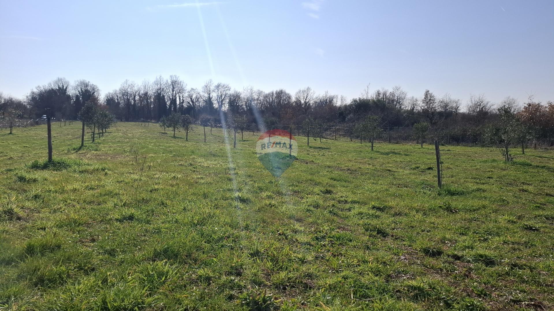 Istrien, Kršin, Landwirtschaftliches Grundstück 5.217 m²