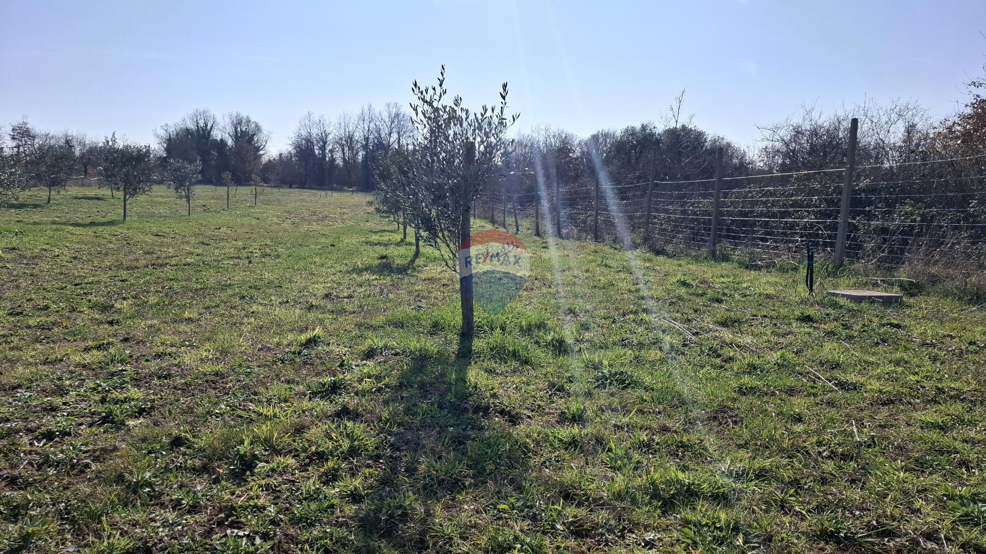 Istrien, Kršin, Landwirtschaftliches Grundstück 5.217 m²
