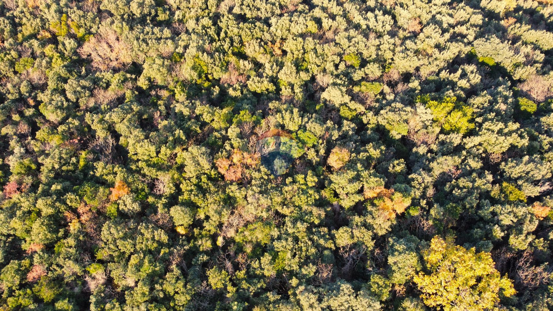    Non-structural plot Rovinj, 3.384m2