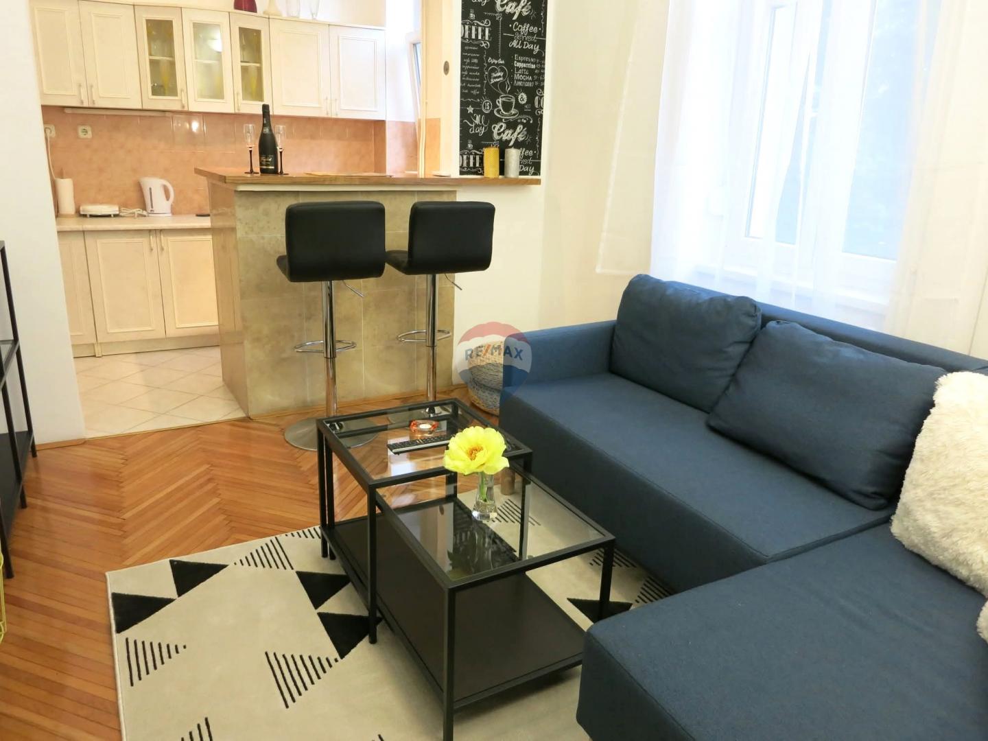 Condo/Apartment Donji grad, Donji Grad, 20m2
