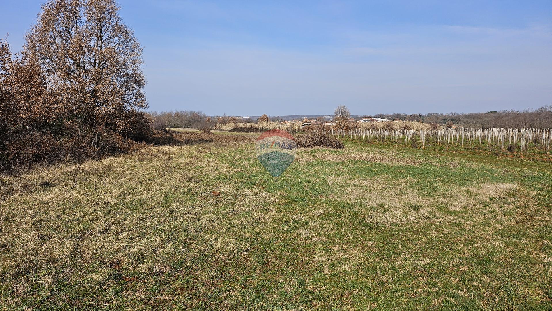 Земельный участок нестроительного назначения Čepljani, Umag, 2.490m2