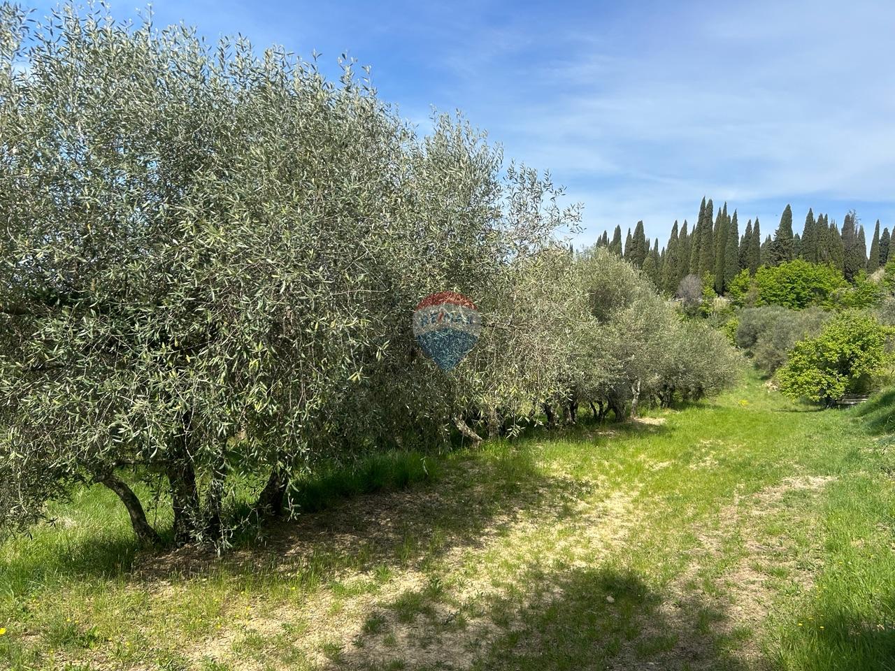 Niet bouwgrond Buje, 608m2