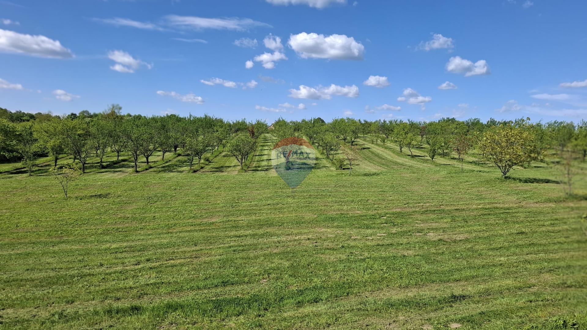 Nova Gradi&scaron;ka, Gorice, veliko zemlji&scaron;te sa objektima