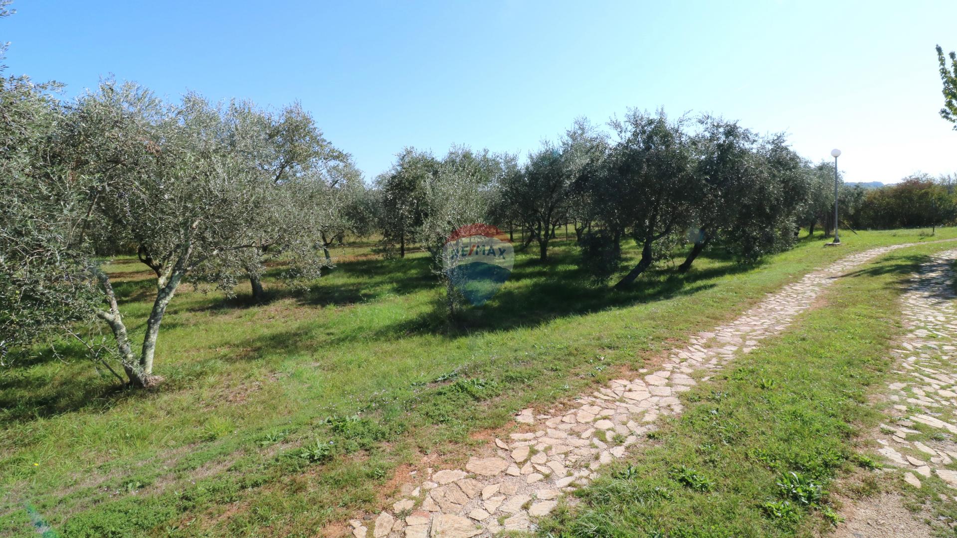 Земельный участок строительного назначения Novigrad, 514m2