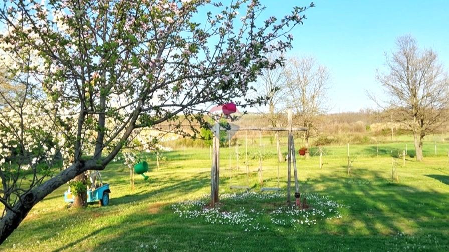 Terreno non edificabile Umag, 3.670m2