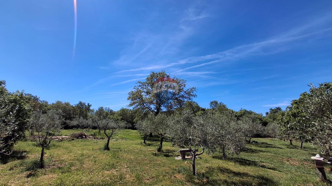 Building plot Ka&scaron;tel, Buje, 1.283m2
