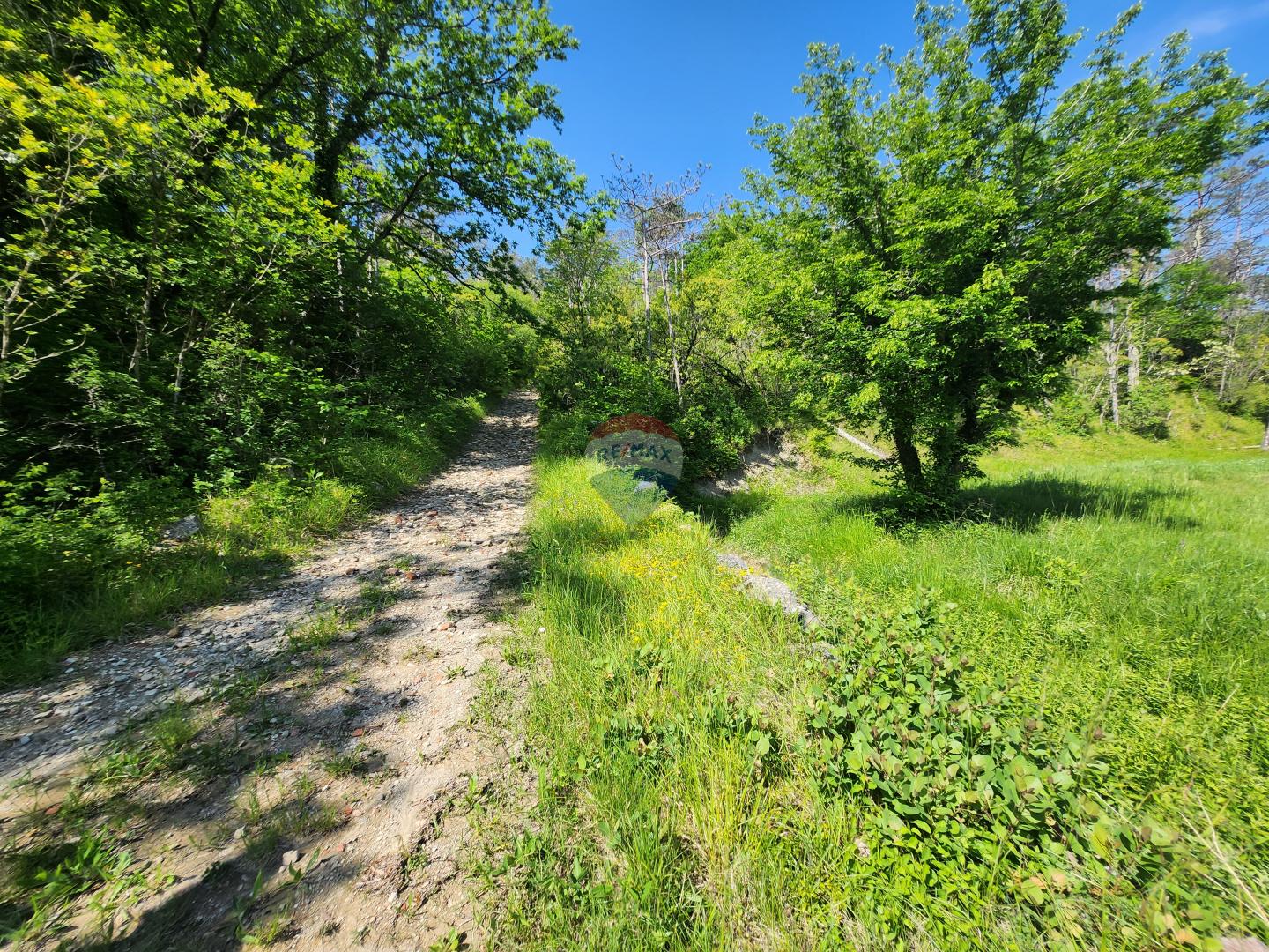 Nicht-strukturelle Land Buzet, 15.029m2