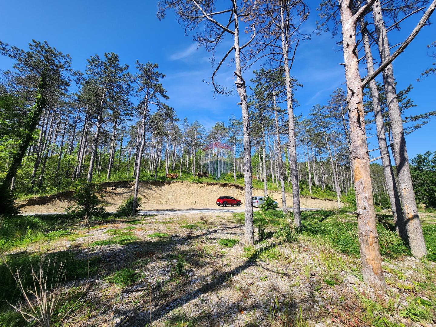 Nicht-strukturelle Land Buzet, 18.144m2