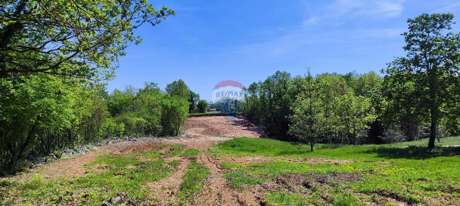 Istra, Barban, Rojnići - građevinsko zemlji&scaron;te, 910 m2
