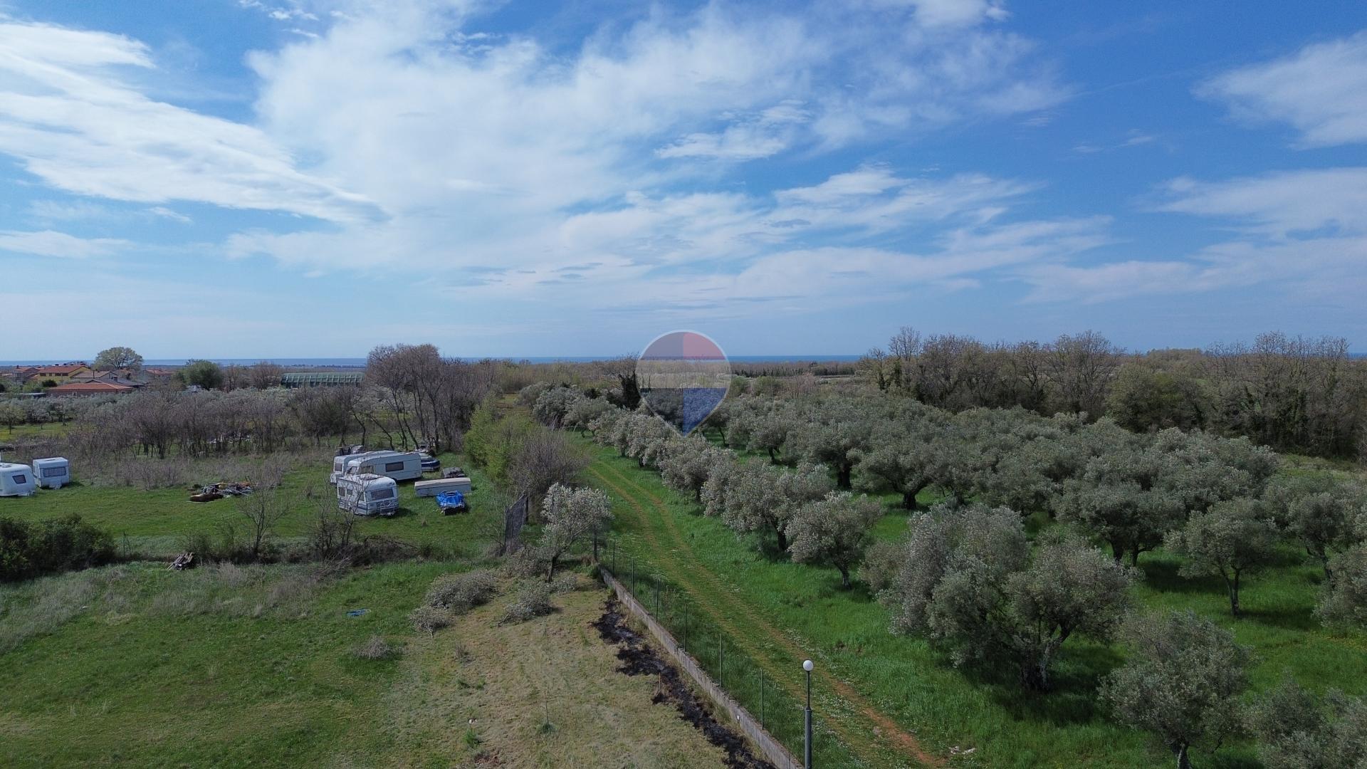 Stavbno zemlji&scaron;če Brtonigla, 801m2