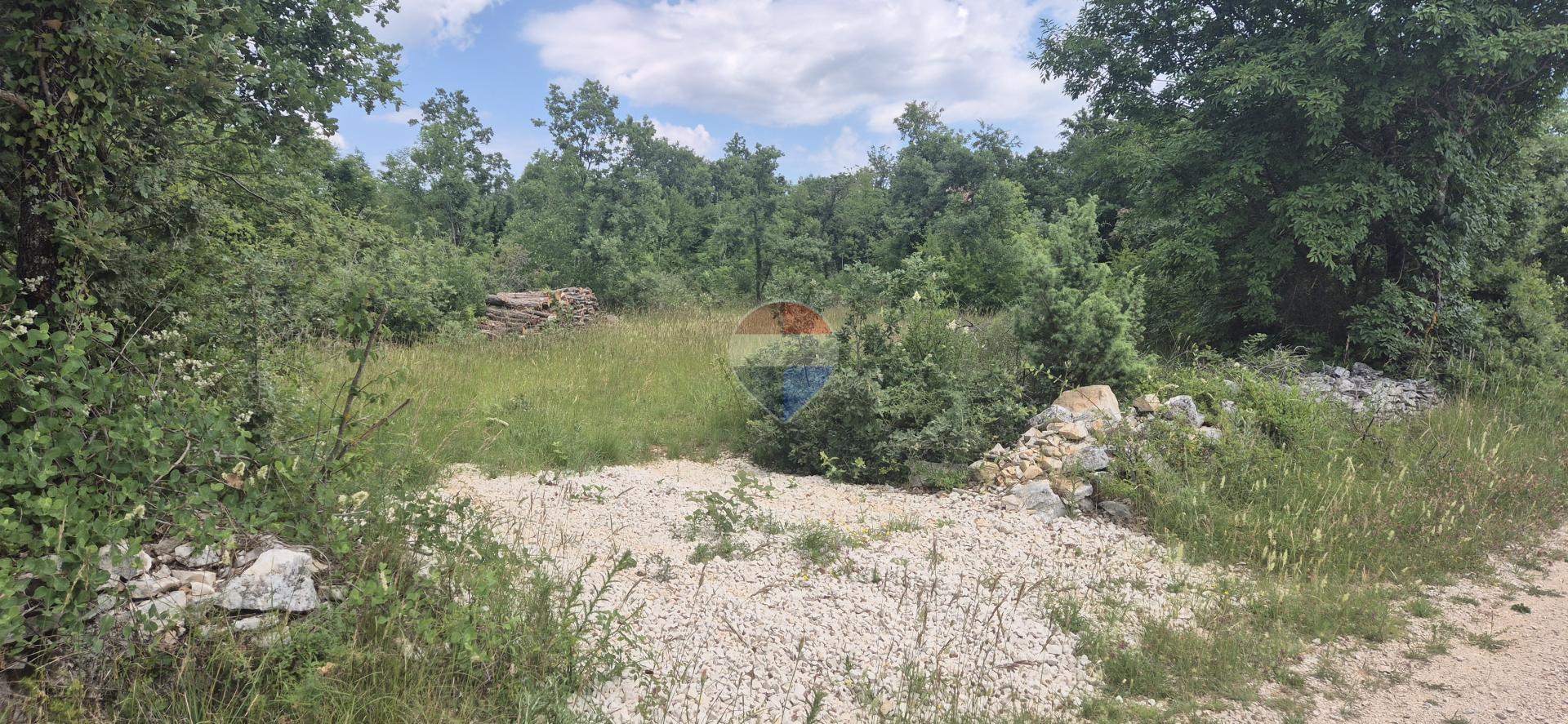 Istra, Kanfanar veliko poljoprivredno zemljište