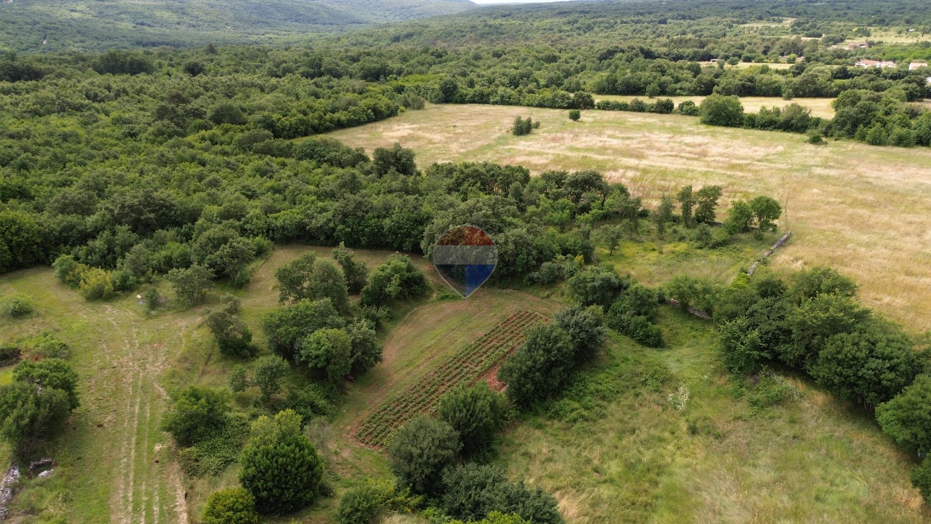 ISTRA, MARČANA - Povoljno poljoprivredno zemljište 1,8 ha