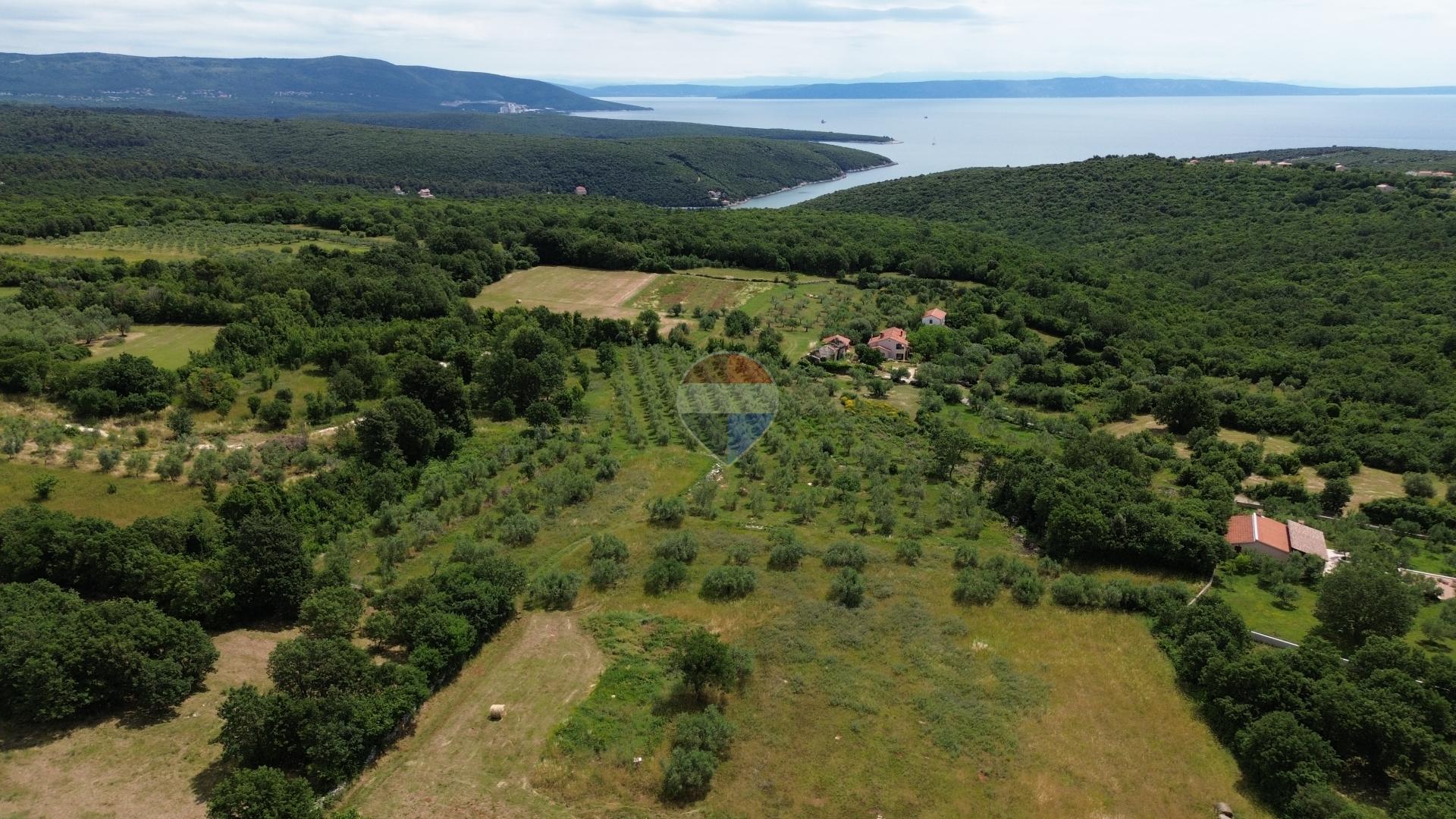 ISTRA, PERUŠKI - Poljoprivredna zemljišta 22.809 m2