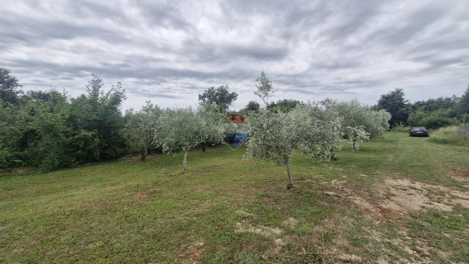Terreno edificabile Div&scaron;ići, Marčana, 686m2