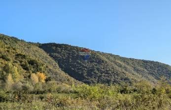 Istra,Labin,Martinski,šuma