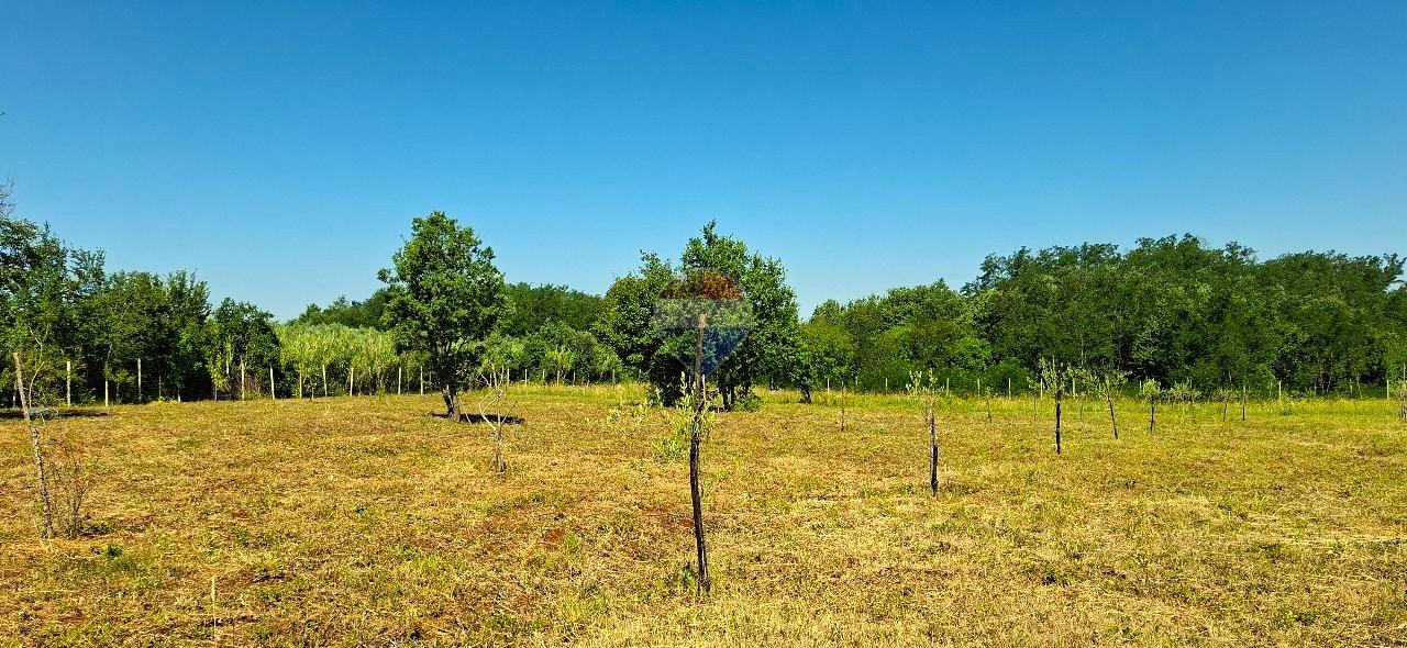 Nicht-strukturelle Land Ka&scaron;tel, Buje, 7.270m2