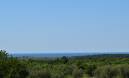 Vabriga,zemljište  na osami,pogled more,500m od mora.Jedinstvena parcela