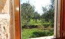 Istria, Peruški, 2 stone houses with swimming pool, 300m2