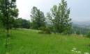 Building plot Kupjak, Ravna Gora, 14.540m2