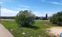 Building plot Dajla, Novigrad, 2.604m2