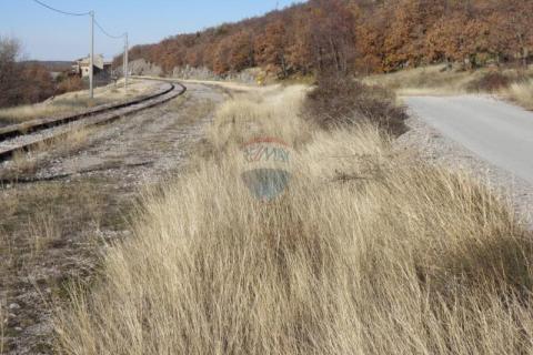 Bauland Lupoglav, 15.000m2