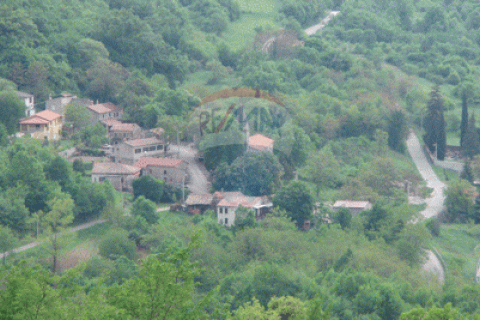 Bauland Lupoglav, 15.000m2