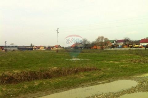 Bauland Lupoglav, 15.000m2