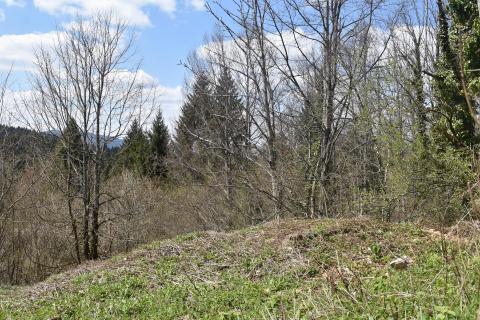 Moravce, Vrbovsko -kuća na osami